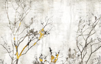 Winter Birch Forest Wallpaper