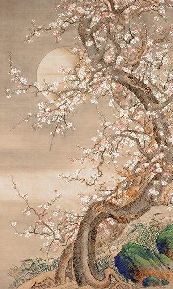 Vintage Cherry Blossom Tree Wallpaper